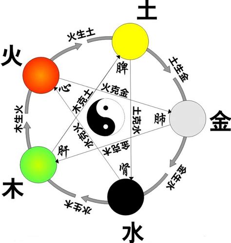 五行平衡|论八字的“平衡”与“失衡”，为什么“平衡”意味着“平庸”？